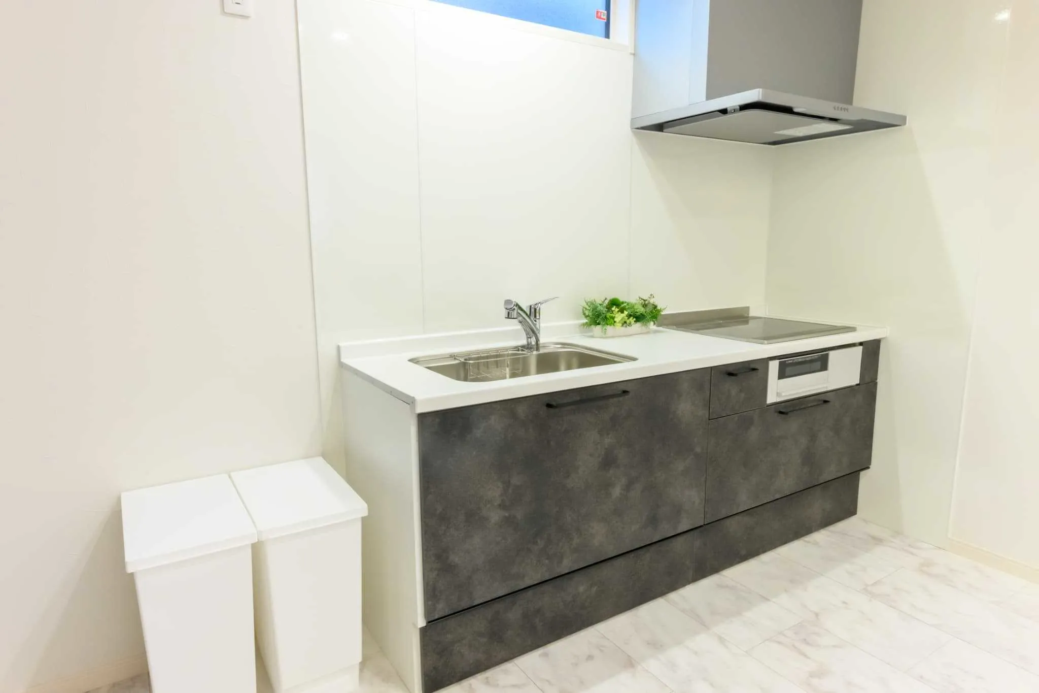 Darin大濠公園北