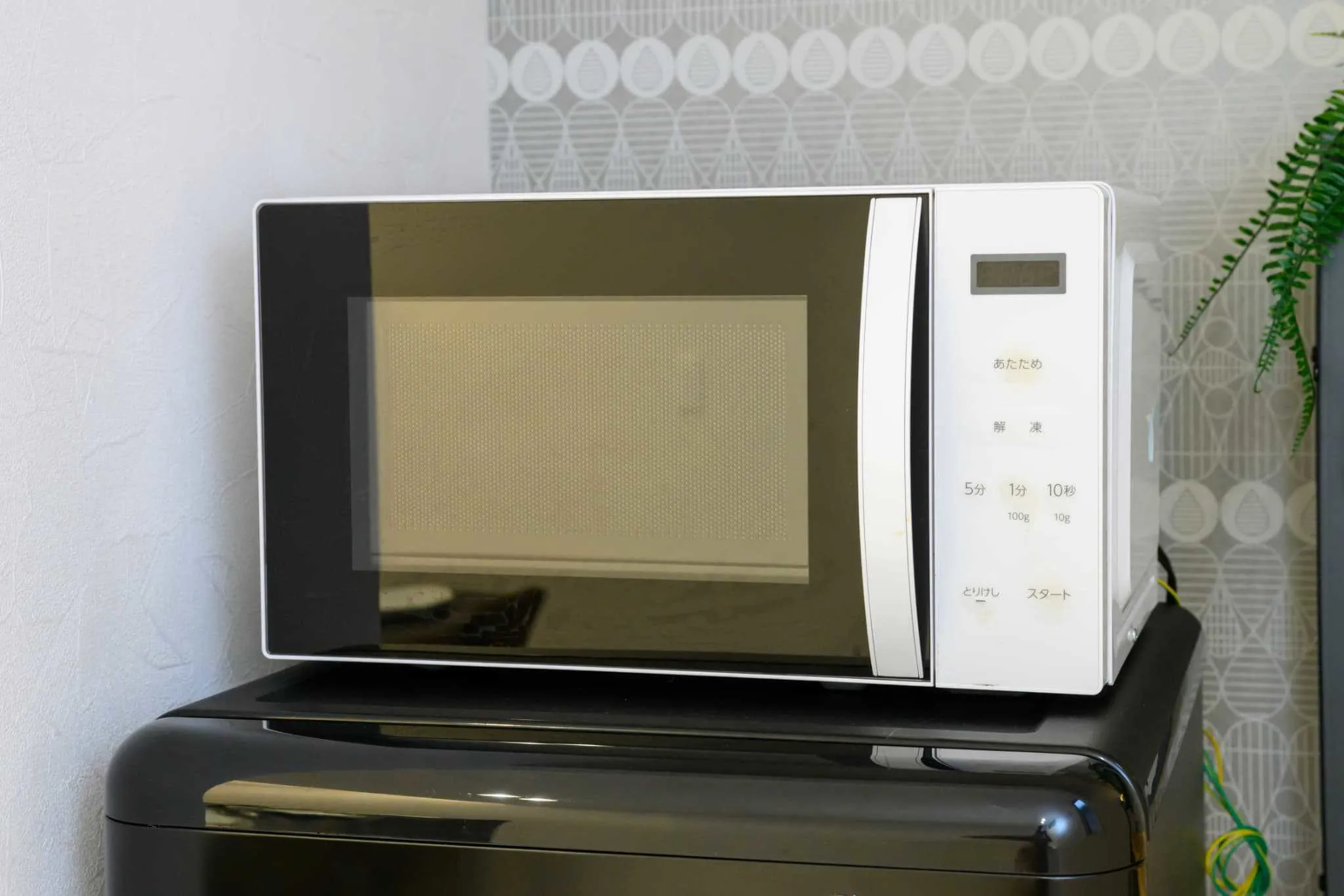 Darin大濠公園北